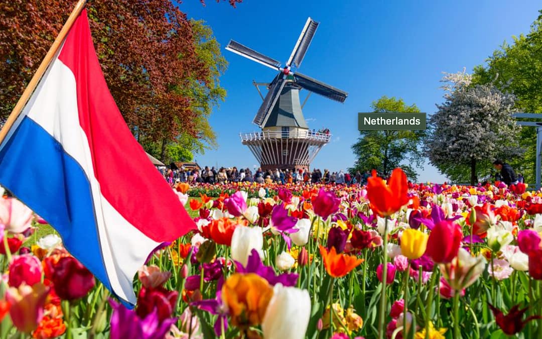 Hup Holland Hup Quiz
