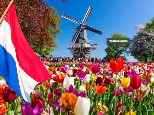 Hup Holland Hup Quiz